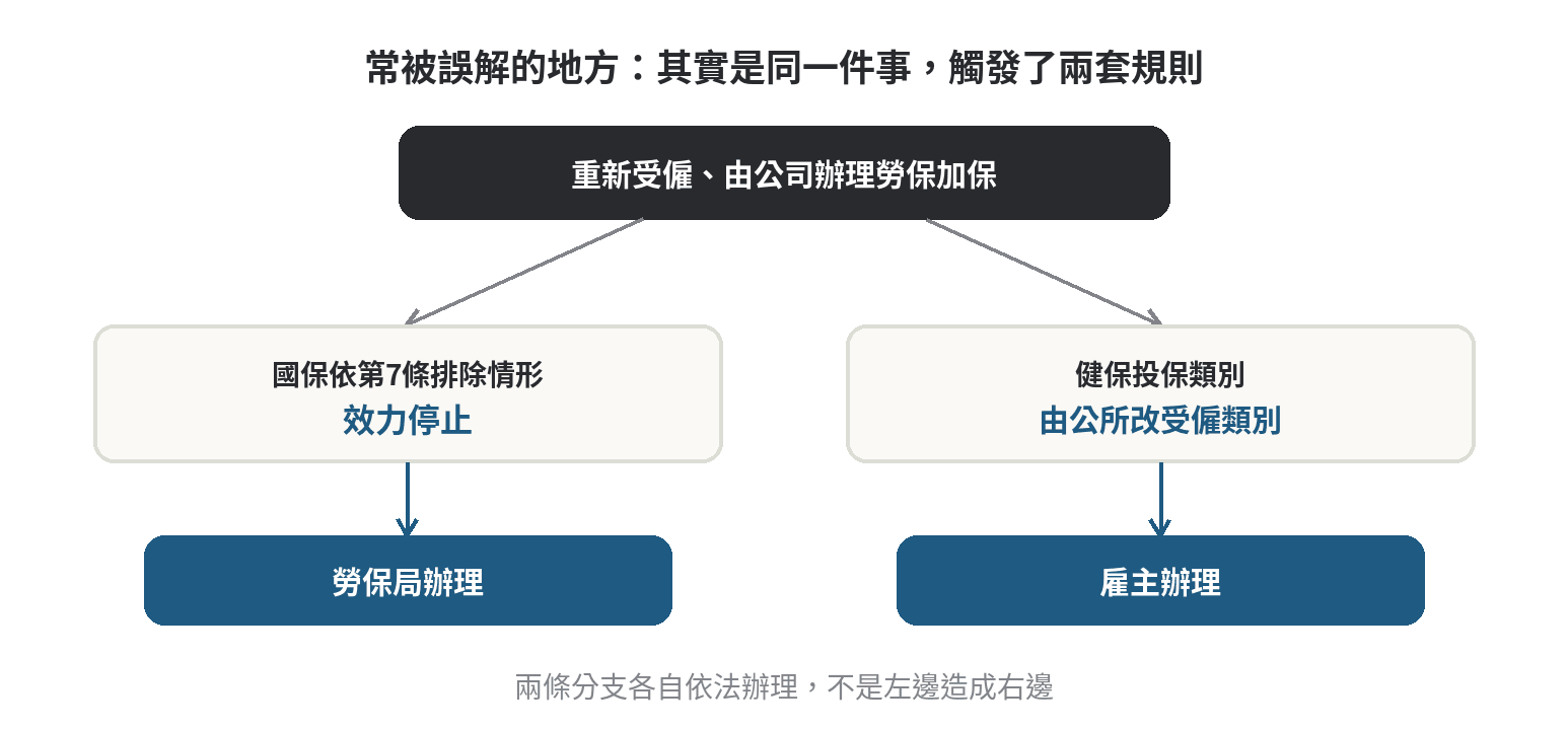 退出國民年金會影響健保投保資格嗎 同一個重新受僱事件分別觸發國保效力停止(勞保局辦理)與健保投保類別轉換(雇主辦理)兩條各自規則的分支流程圖